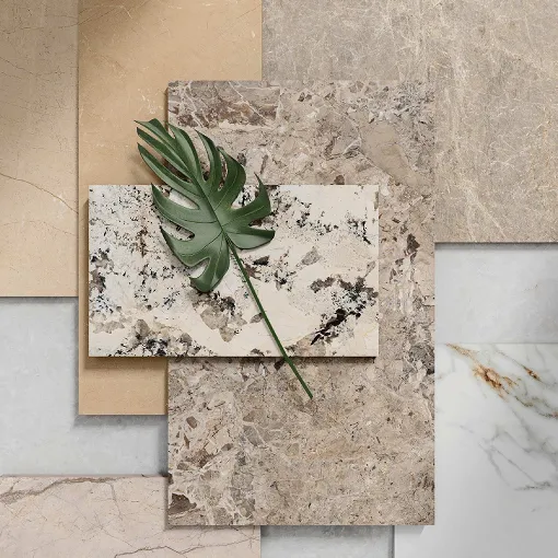 Stone-look Letoza tile samples laid out with a monstera leaf