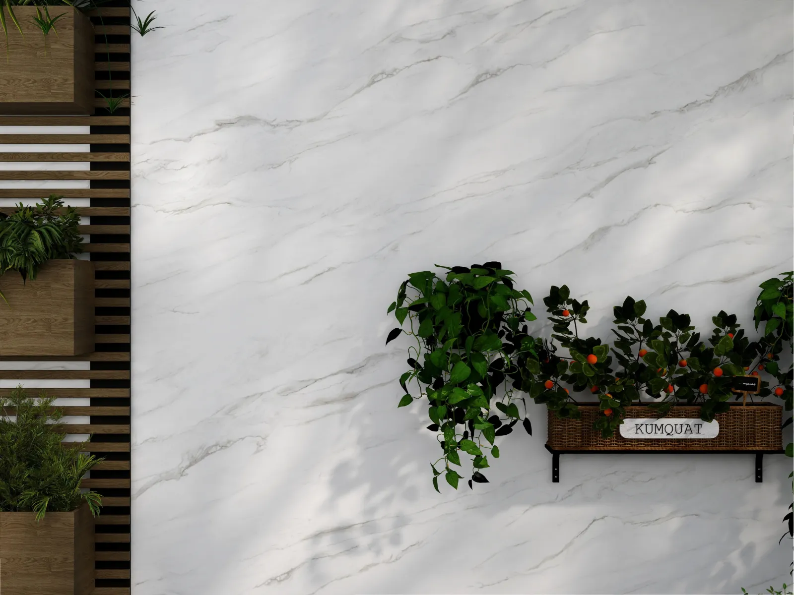 Statuario Dior — in a space