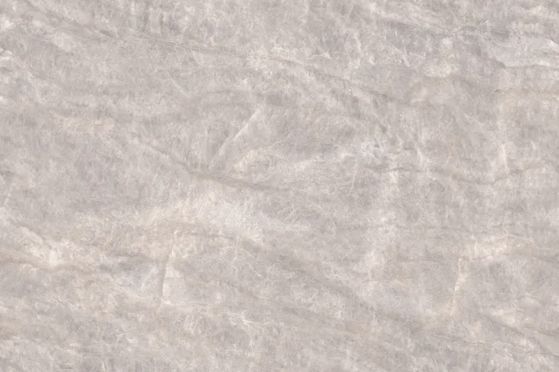 Tajmahal Grey face 2