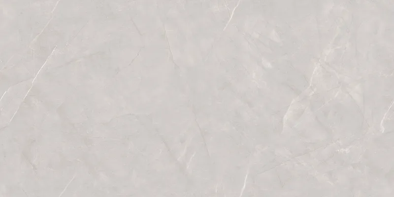 Omani Grey face 2