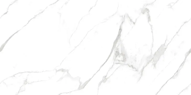 Calactta Borghini Satuario face 2