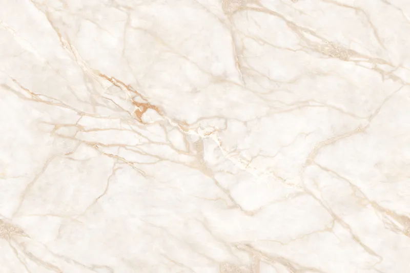 Vein Flow Ivory face 2
