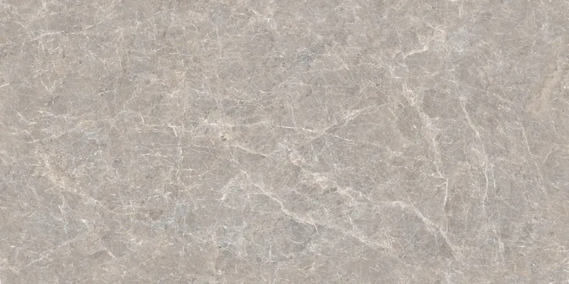 Ardour Ash face 3