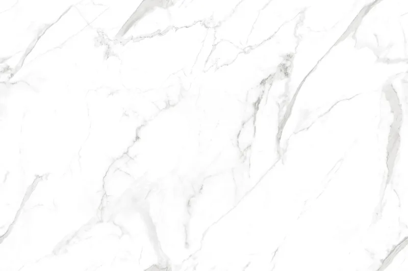 Calactta Borghini Satuario face 2