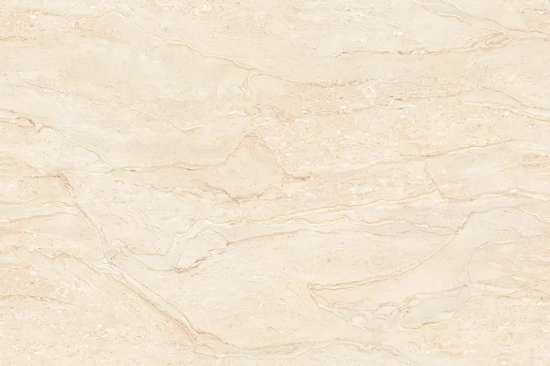 Dyna Camel face 2