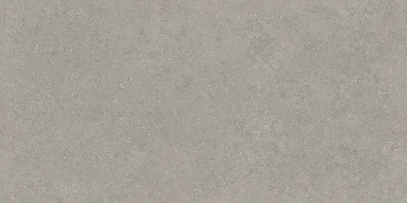 Eleganza Nebbia face 2