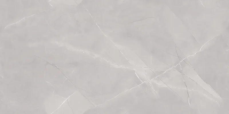 Arezo Grey face 6