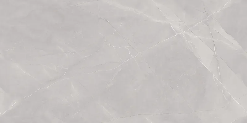 Arezo Grey face 2