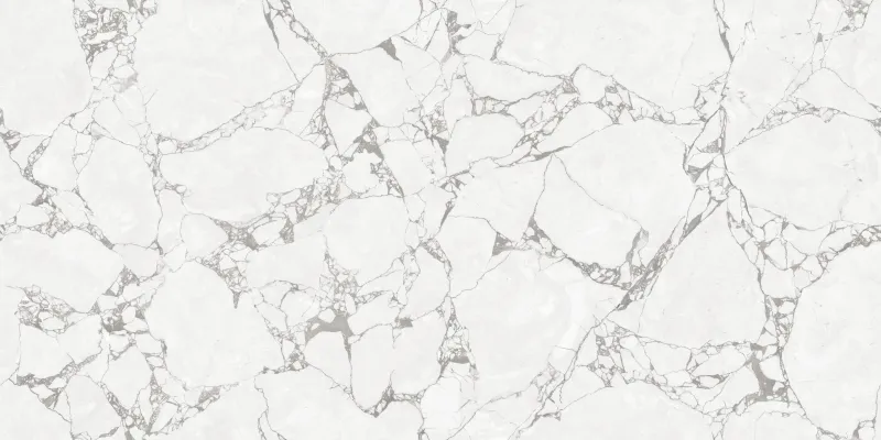 Rosaliya Silver face 4