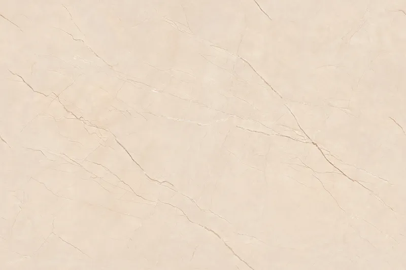 Royal Burberry Camel face 2