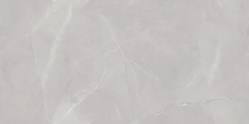 Arezo Grey face 4