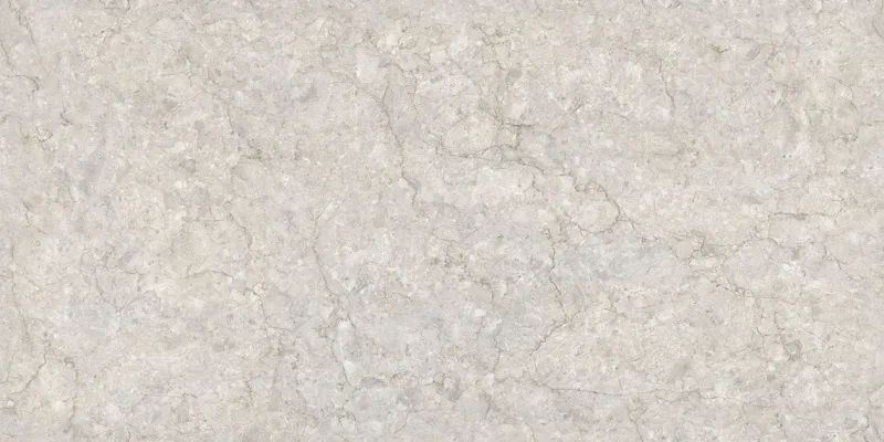 Polaris Silver face 2
