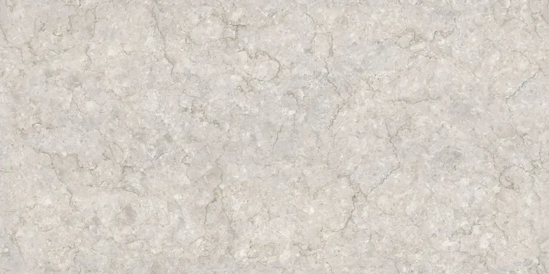Polaris Silver face 3