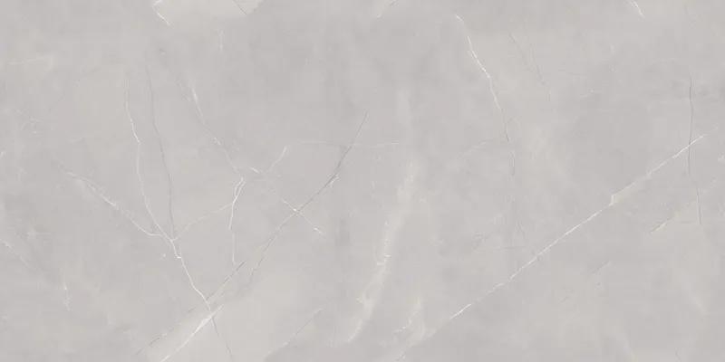 Arezo Grey face 2