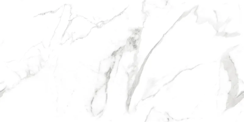 Calactta Borghini_satuario face 2
