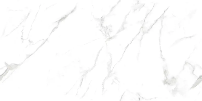 Calactta Borghini_satuario face 4