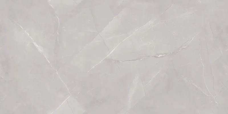 Arezo Grey face 5