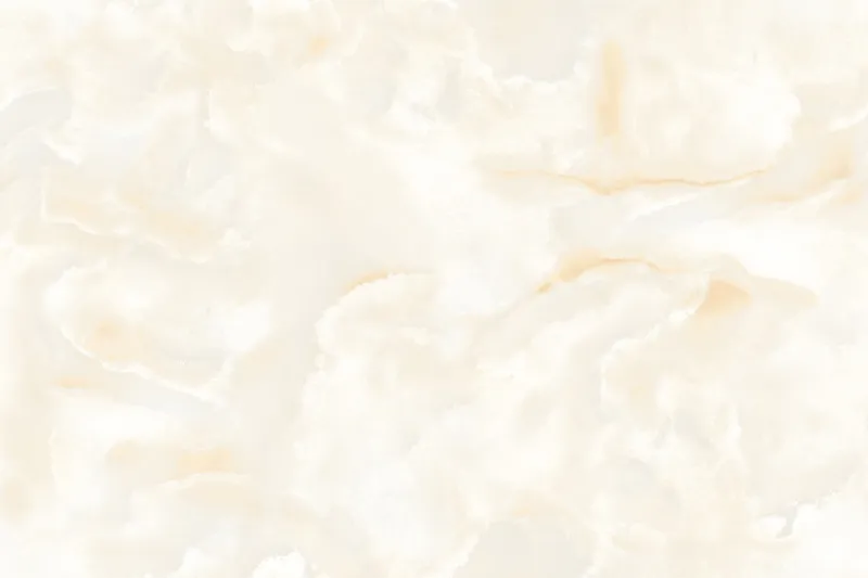 Shell Onyx face 1