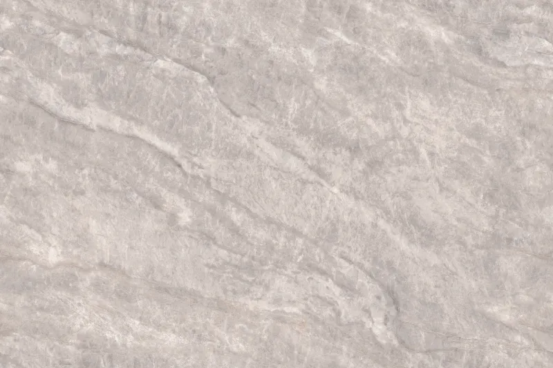 Tajmahal Grey face 1